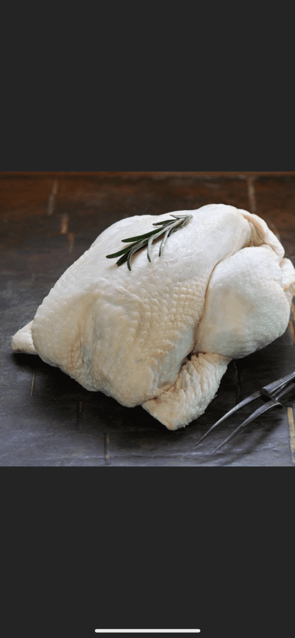Capon Style Chicken