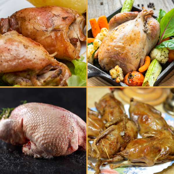 Game Birds