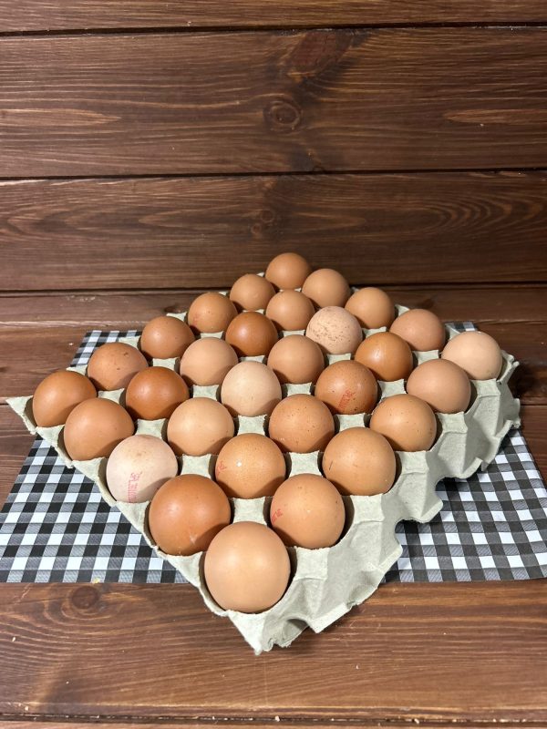Tray 30 eggs